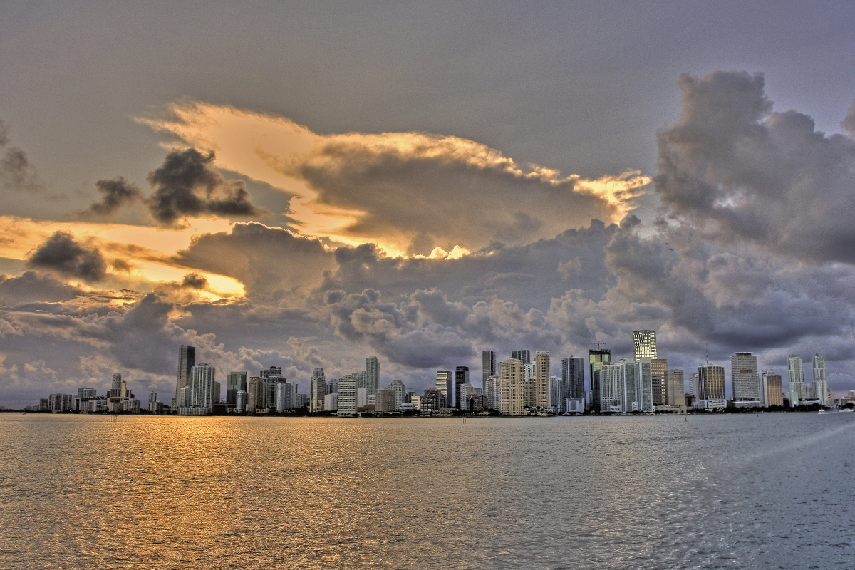 T-shirt Miami Vice USA - Coton 190g Sérigraphie Séries TV