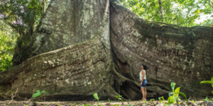 donde hacer ecoturismo