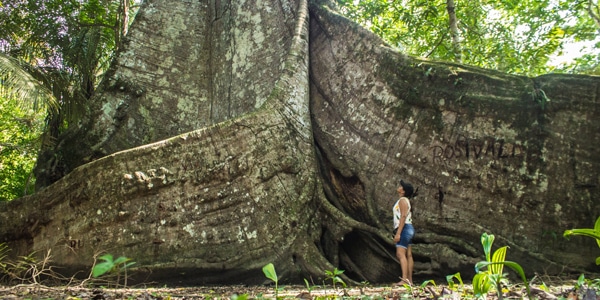 donde hacer ecoturismo