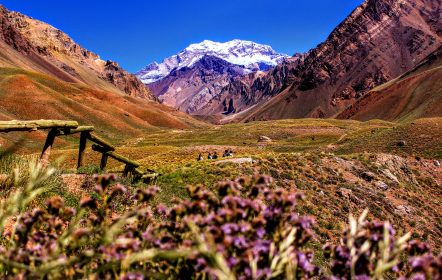 Qué hacer en Mendoza