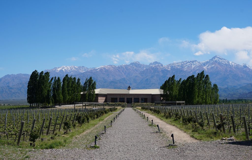 Rutas del vino, Mendoza