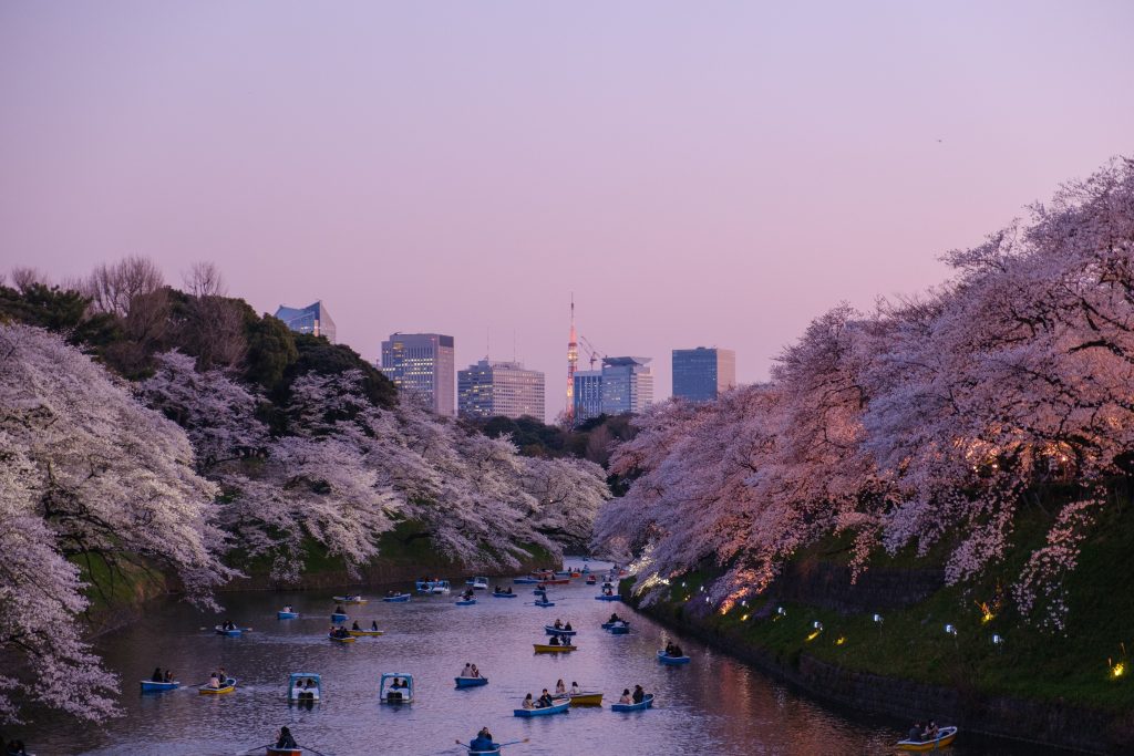 Qué hacer en Tokio