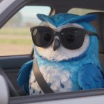 Imagen del post ¿Cómo elegir el mejor SOAP para tu vehículo?